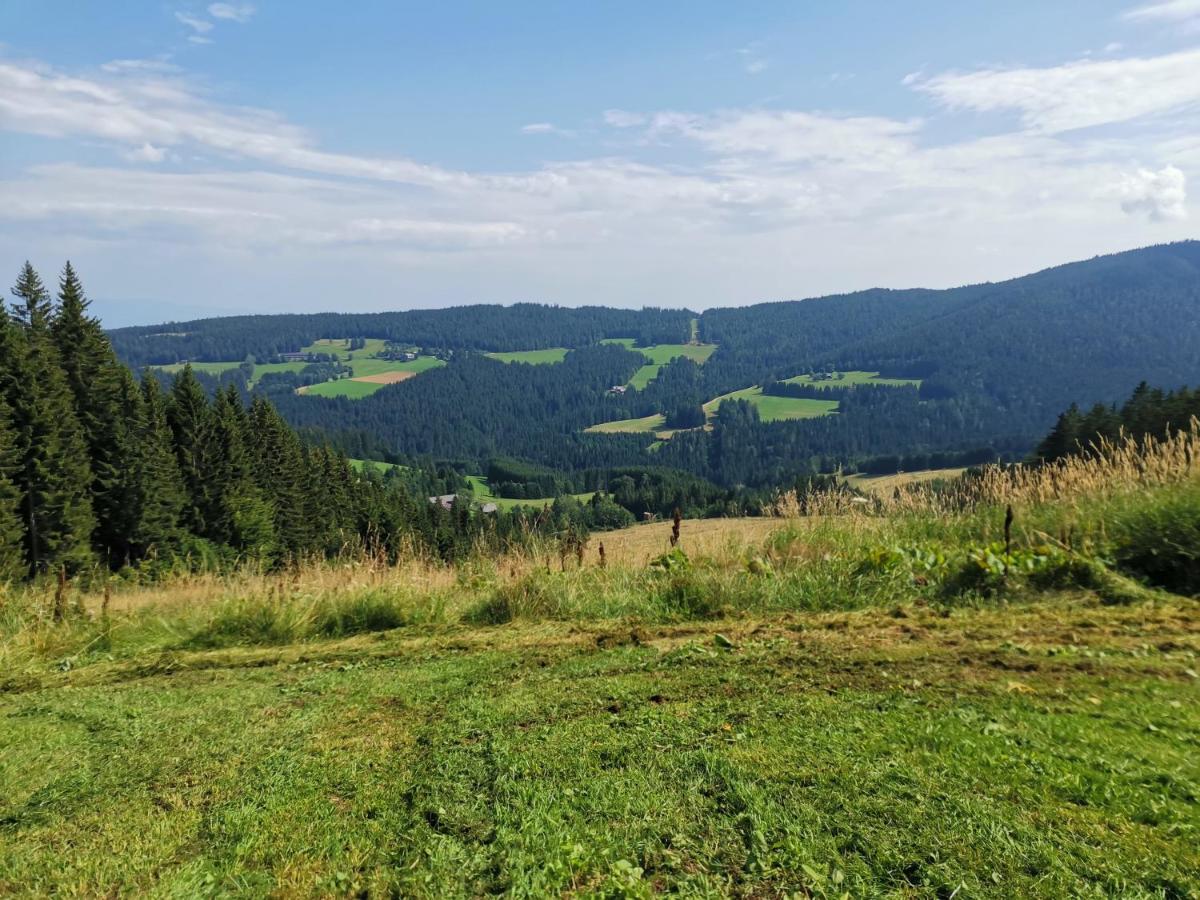 Ferienwohnungen Hebalm Pack Exteriér fotografie