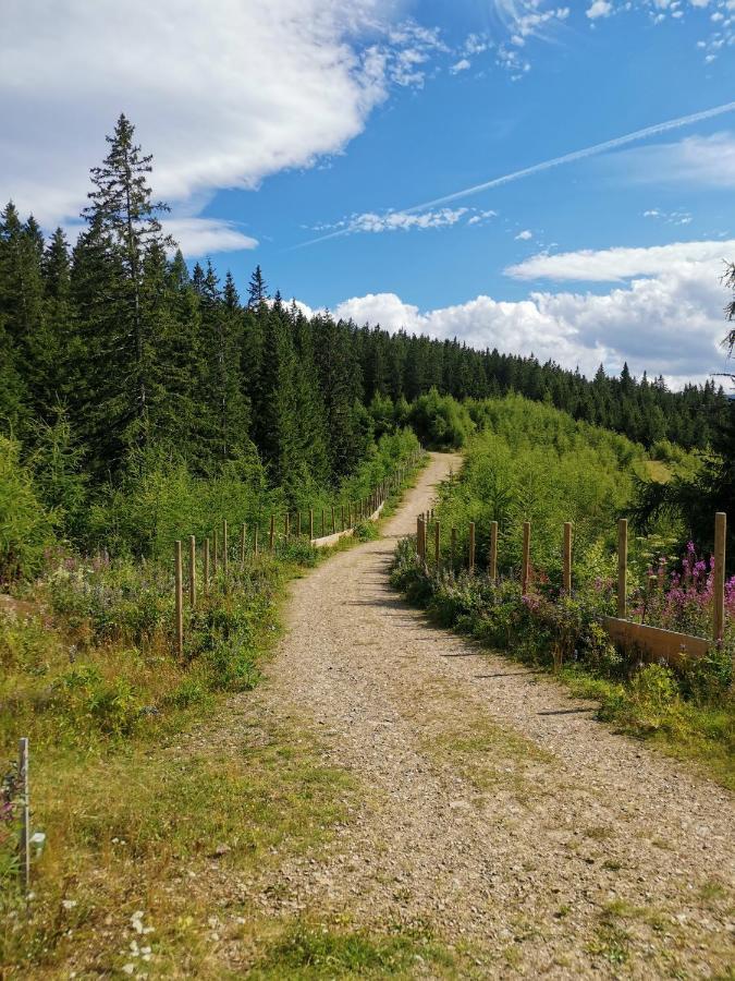 Ferienwohnungen Hebalm Pack Exteriér fotografie